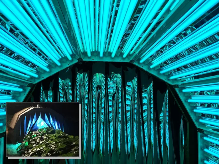 UV-C for Pathogen Control in Agriculture