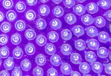 purple-uv-led-bulbs